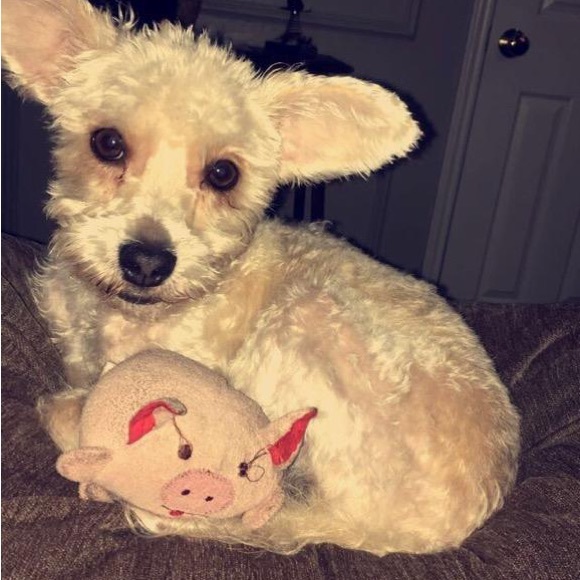 Meet your Posher, April - Picture 3 of 13